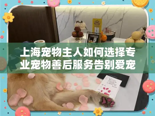 上海宠物主人如何选择专业宠物善后服务告别爱宠？
