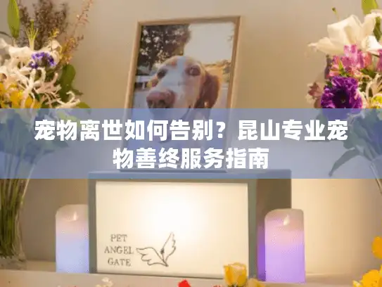 宠物离世如何告别？昆山专业宠物善终服务指南
