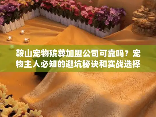 鞍山宠物殡葬加盟公司可靠吗？宠物主人必知的避坑秘诀和实战选择指南