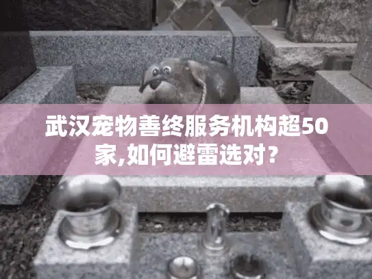 武汉宠物善终服务机构超50家,如何避雷选对？