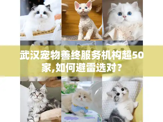武汉宠物善终服务机构超50家,如何避雷选对？