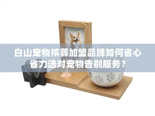 白山宠物殡葬加盟品牌如何省心省力选对宠物告别服务？