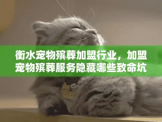 衡水宠物殡葬加盟行业，加盟宠物殡葬服务隐藏哪些致命坑？
