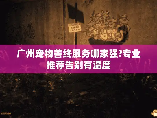 广州宠物善终服务哪家强?专业推荐告别有温度