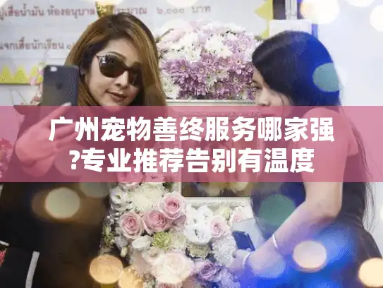 广州宠物善终服务哪家强?专业推荐告别有温度