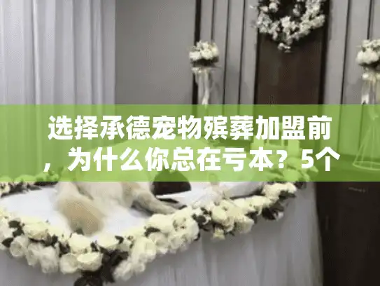 选择承德宠物殡葬加盟前，为什么你总在亏本？5个关键痛点解析