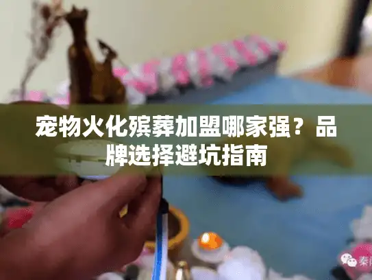 宠物火化殡葬加盟哪家强？品牌选择避坑指南