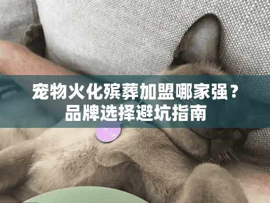 宠物火化殡葬加盟哪家强？品牌选择避坑指南