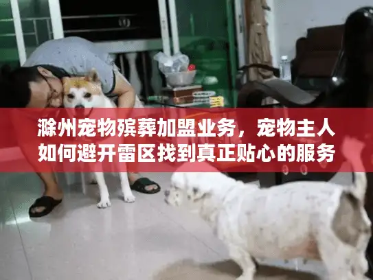 滁州宠物殡葬加盟业务，宠物主人如何避开雷区找到真正贴心的服务？