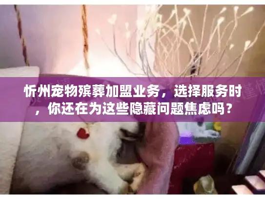 忻州宠物殡葬加盟业务，选择服务时，你还在为这些隐藏问题焦虑吗？