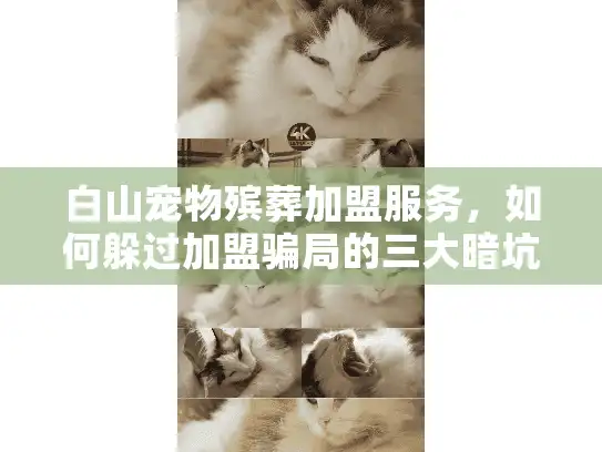 白山宠物殡葬加盟服务，如何躲过加盟骗局的三大暗坑？