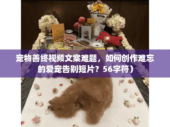 宠物善终视频文案难题，如何创作难忘的爱宠告别短片？56字符）