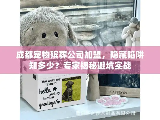 成都宠物殡葬公司加盟，隐藏陷阱知多少？专家揭秘避坑实战