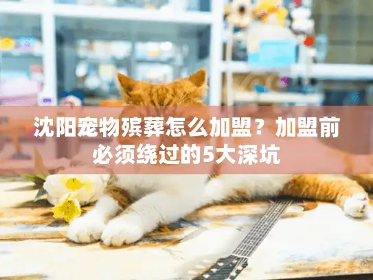 沈阳宠物殡葬怎么加盟？加盟前必须绕过的5大深坑