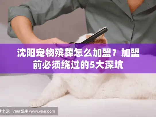 沈阳宠物殡葬怎么加盟？加盟前必须绕过的5大深坑