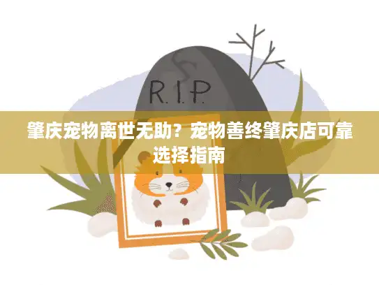 肇庆宠物离世无助？宠物善终肇庆店可靠选择指南