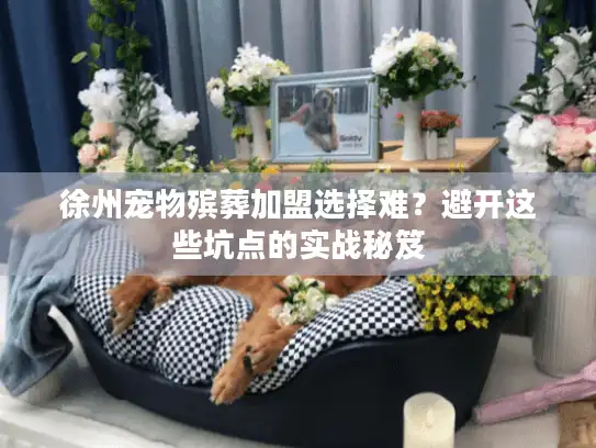徐州宠物殡葬加盟选择难？避开这些坑点的实战秘笈
