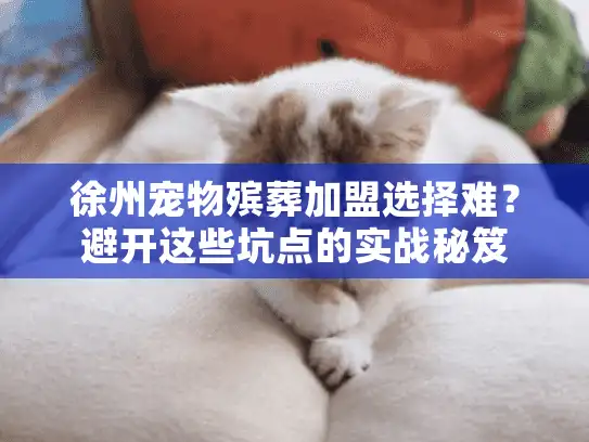 徐州宠物殡葬加盟选择难？避开这些坑点的实战秘笈
