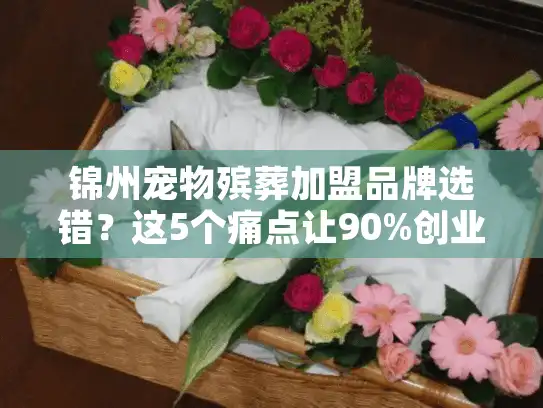 锦州宠物殡葬加盟品牌选错？这5个痛点让90%创业者踩坑！