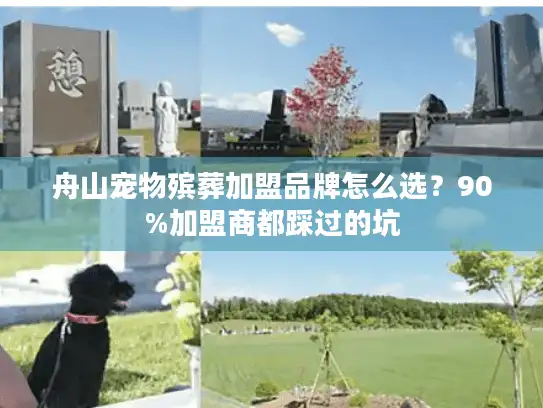 舟山宠物殡葬加盟品牌怎么选？90%加盟商都踩过的坑