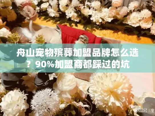 舟山宠物殡葬加盟品牌怎么选？90%加盟商都踩过的坑