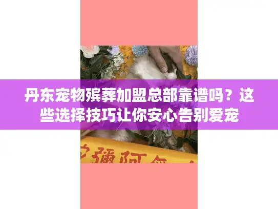 丹东宠物殡葬加盟总部靠谱吗？这些选择技巧让你安心告别爱宠