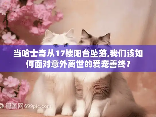 当哈士奇从17楼阳台坠落,我们该如何面对意外离世的爱宠善终？