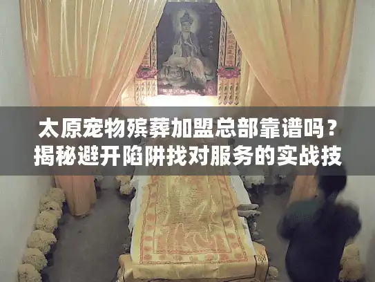 太原宠物殡葬加盟总部靠谱吗？揭秘避开陷阱找对服务的实战技巧！