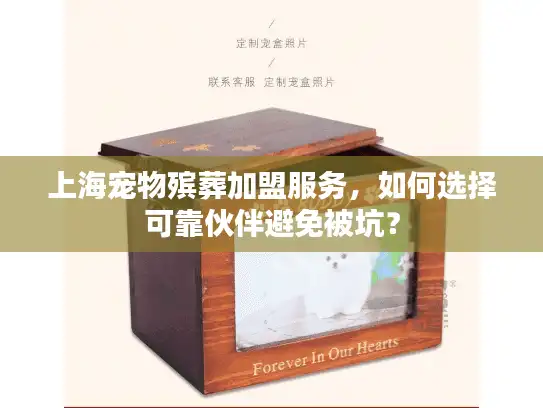上海宠物殡葬加盟服务，如何选择可靠伙伴避免被坑？