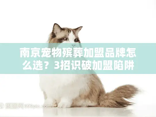 南京宠物殡葬加盟品牌怎么选？3招识破加盟陷阱
