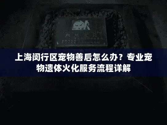 上海闵行区宠物善后怎么办？专业宠物遗体火化服务流程详解