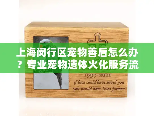 上海闵行区宠物善后怎么办？专业宠物遗体火化服务流程详解