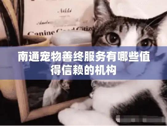 南通宠物善终服务有哪些值得信赖的机构