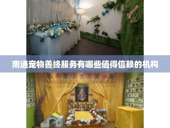 南通宠物善终服务有哪些值得信赖的机构