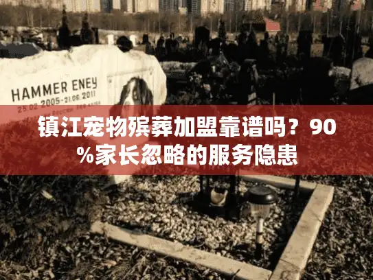 镇江宠物殡葬加盟靠谱吗？90%家长忽略的服务隐患