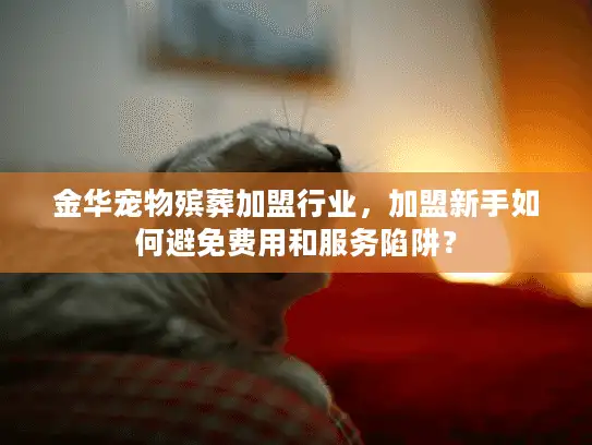 金华宠物殡葬加盟行业，加盟新手如何避免费用和服务陷阱？