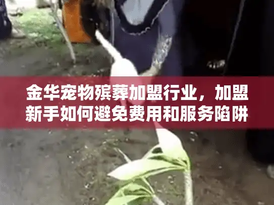 金华宠物殡葬加盟行业，加盟新手如何避免费用和服务陷阱？