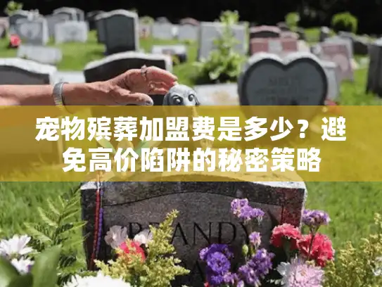 宠物殡葬加盟费是多少？避免高价陷阱的秘密策略