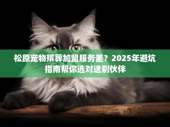 松原宠物殡葬加盟服务差？2025年避坑指南帮你选对送别伙伴