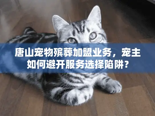 唐山宠物殡葬加盟业务，宠主如何避开服务选择陷阱？