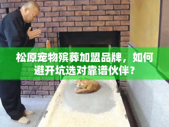 松原宠物殡葬加盟品牌，如何避开坑选对靠谱伙伴？
