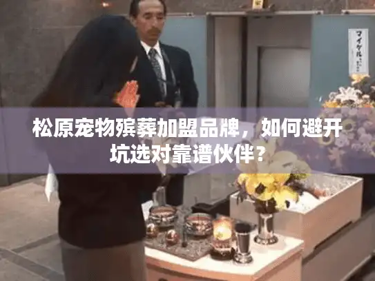 松原宠物殡葬加盟品牌，如何避开坑选对靠谱伙伴？