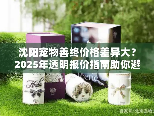 沈阳宠物善终价格差异大？2025年透明报价指南助你避坑