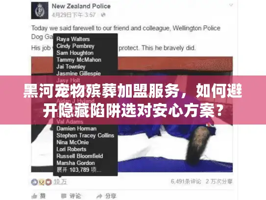 黑河宠物殡葬加盟服务，如何避开隐藏陷阱选对安心方案？