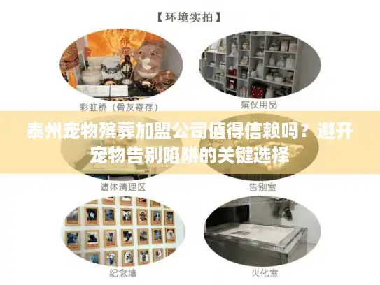 泰州宠物殡葬加盟公司值得信赖吗？避开宠物告别陷阱的关键选择
