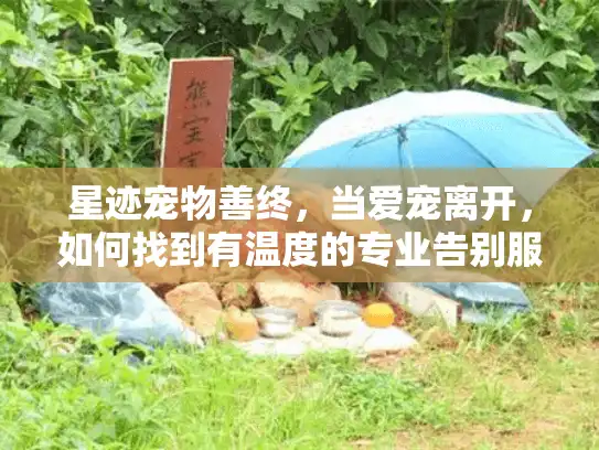 星迹宠物善终，当爱宠离开，如何找到有温度的专业告别服务？