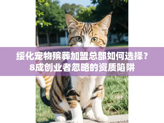 绥化宠物殡葬加盟总部如何选择？8成创业者忽略的资质陷阱