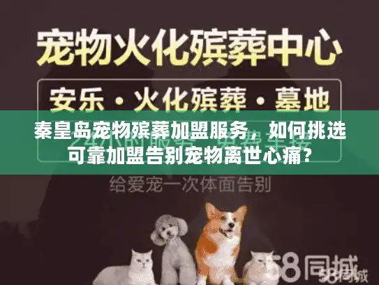 秦皇岛宠物殡葬加盟服务，如何挑选可靠加盟告别宠物离世心痛？