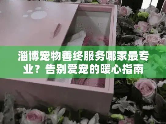 淄博宠物善终服务哪家最专业？告别爱宠的暖心指南