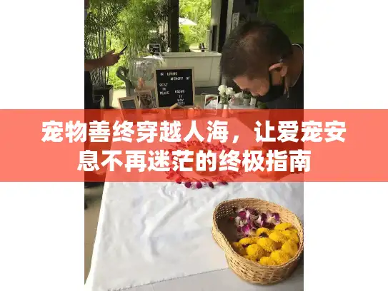 宠物善终穿越人海，让爱宠安息不再迷茫的终极指南